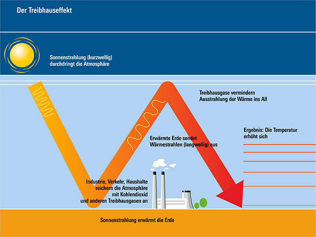 Die Infografik erklärt die Entstehung des Treibhauseffektes. Kurzwellige Sonnenstrahlen dringen in die Erdatmosphäre und werden von der Erdoberfläche schließlich als langwellige Wärmestrahlung reflektiert. Sogenannte Treibhausgase wie zum Beispiel CO2 verhindern, dass die Strahlung in das Weltall abgebeben wird. Sie reflektiert an dieser Schicht und gelangt zurück auf die Erdoberfläche. Ergebnis: die Temperatur erhöht sich.